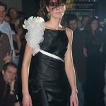 IMG_8498 IMG_8498