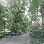 IMG_1409 IMG_1409
