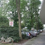 IMG_1410 IMG_1410
