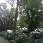 IMG_1412 IMG_1412