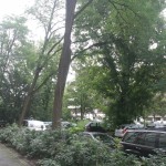 IMG_1413 IMG_1413