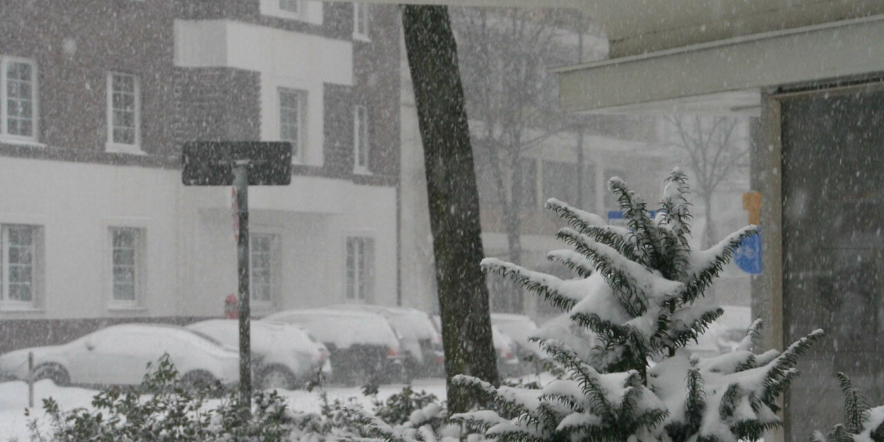 Flingern at white 2009