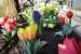 Guerilla Gardening: Ist Flingern die heimliche Zentrale?