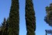Sommer ohne Flingern II: Fiesole, bei Florenz