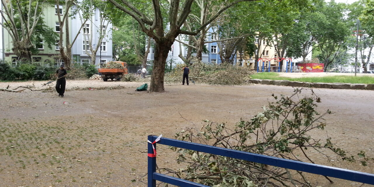 Wochenmarkt am Hermannplatz wird am kommenden Samstag wieder stattfinden