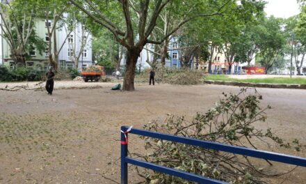 Wochenmarkt am Hermannplatz wird am kommenden Samstag wieder stattfinden