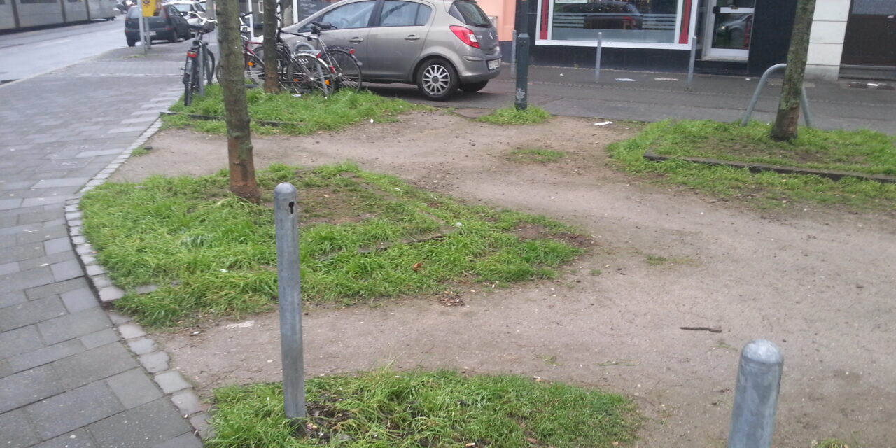 Der Dorotheenplatz im Umbruch ?